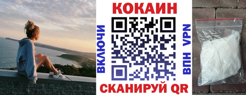 COCAIN Fish Scale  Купить закладки  Пущино 